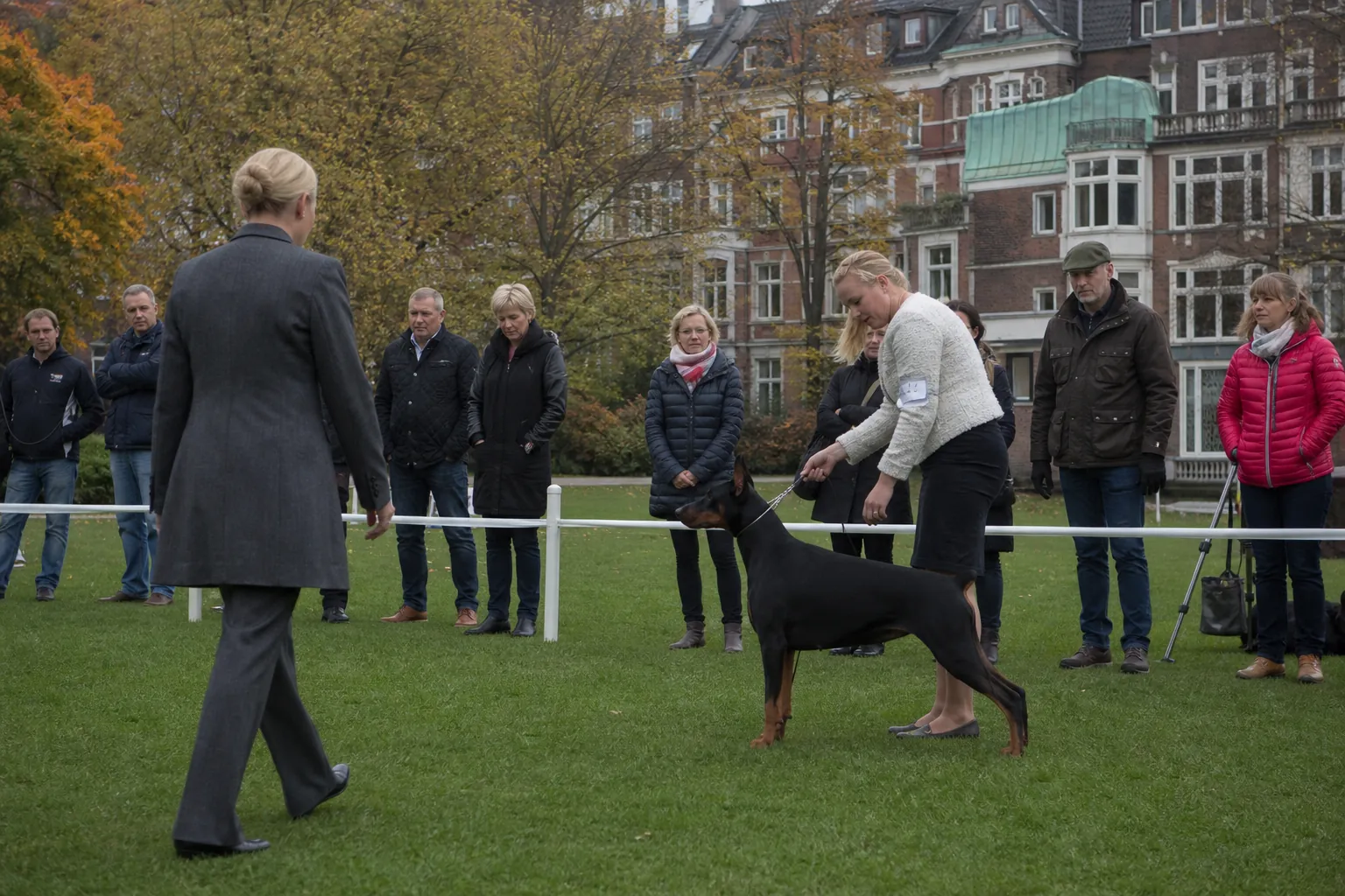 Richterin bewertet einen Dobermann im Outdoor-Zuchtschau-Ring in einem Hamburger Park